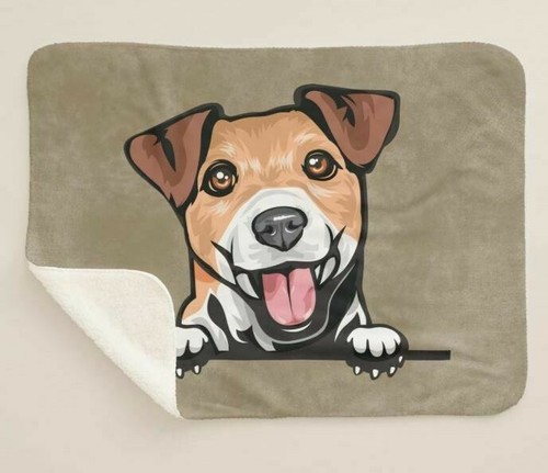 Jack russell terrier - jack,