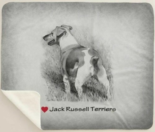 Love jack russell - i,