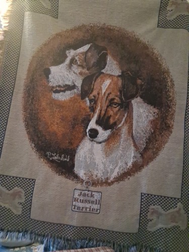 Jack russell terrier vintage - jack,