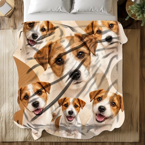 Jack russell puppies - russell, coral