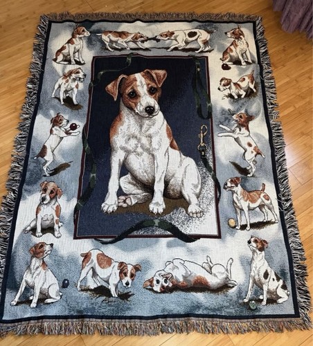 Jack russell terrier dog - jack,